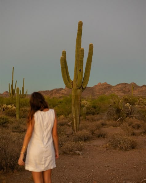 One more of Lauren’s senior photos because they needed a permanent place on my feed ✨ #arizonaphotographer #phoenixphotographer #tucsonphotographer #tucsonweddingphotographer #phoenixweddingphotographer #arizonaweddingphotographer #couplesphotographer #seniorphotos #grandcanyonuniversity #universityofarizona #tucson #tucsonarizona #desertphotography #weddingphotography #film #canonphotography #35mmfilm Arizona Graduation Pictures, University Of Arizona Graduation Photos, Desert Graduation Pictures, Grand Canyon University, Mini Photo Sessions, Grad Pic, Desert Photography, Arizona Photographer, Grad Pics