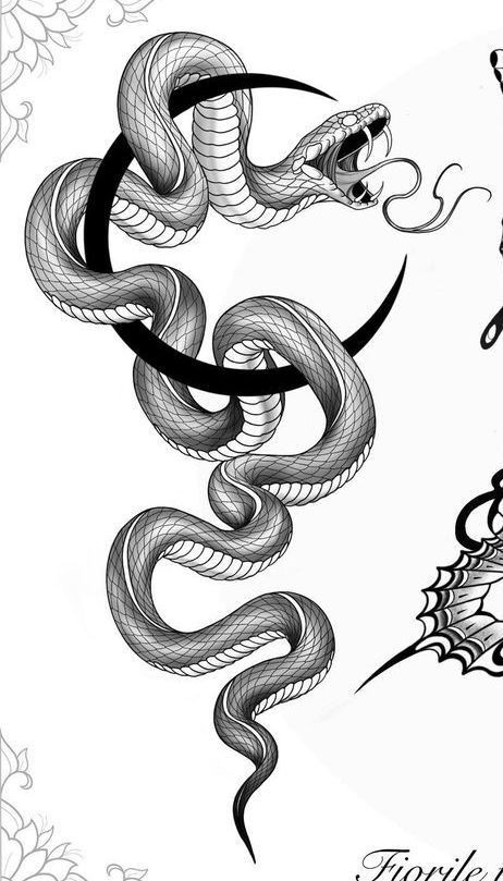 Viper Snake Tattoo Design, Hissing Snake Tattoo, Snake Hissing Tattoo, Black Snake Drawing, Snake Drawing Tattoo, Dragon Snake Tattoo, Snake Moon Tattoo, Snakes Drawing, Snake Draw