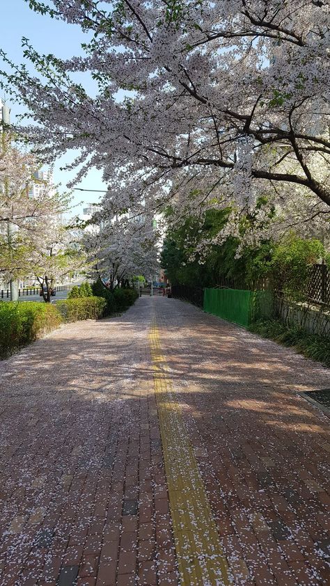 - 1 day 1 sky | south korea seoul aesthetic 2022.04.12 South Korea Sky 😎 | #Seoul #korealandscape #korea #korean #southkorean #southkorea #südkorea #corea #korea🇰🇷 #southkorea🇰🇷 #seoul🇰🇷 #redbubble Korea Countryside, Korea Seoul Aesthetic, South Korea Seoul Aesthetic, Seoul Aesthetic, Korea Country, South Korea Seoul, Sky Images, Korea Seoul, Korea Travel