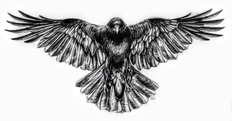 Crow Sternum Tattoo, Gothic Raven Tattoo, Raven Tattoo Back, Crow Back Tattoo, Crow Chest Tattoo, Raven Back Tattoo, Raven Wing Tattoo, Raven Wings Tattoo, Raven Tattoo Design