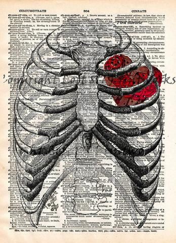 Steampunk Clockwork, Vintage Anatomy, Medical Journal, Dictionary Book, Book Page Art, Heart Vintage, Dictionary Page, Anatomy Sketches, Vintage Dictionary