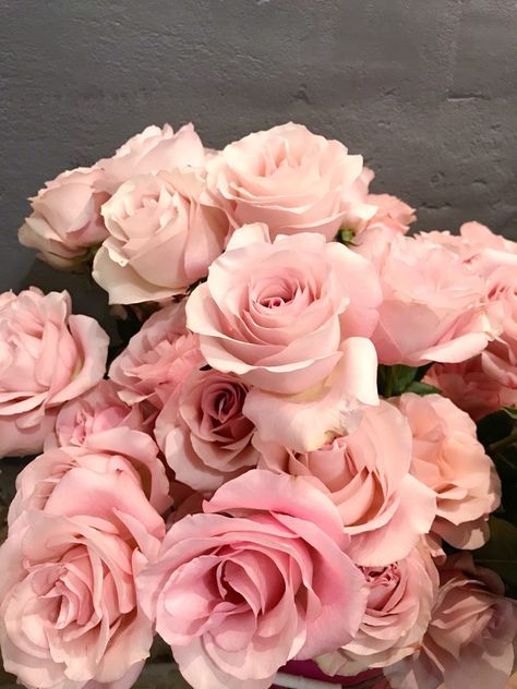 Bucket of pink 'Secret Garden' roses in front of a gray concrete wall. Pink Roses Aesthetic, Secret Garden Flowers, Quotes For Lover, Pink Garden Rose, School Mood Board, Happy Valentines Day Quotes, Christmas Trees Ideas, Spring Market, Gray Concrete