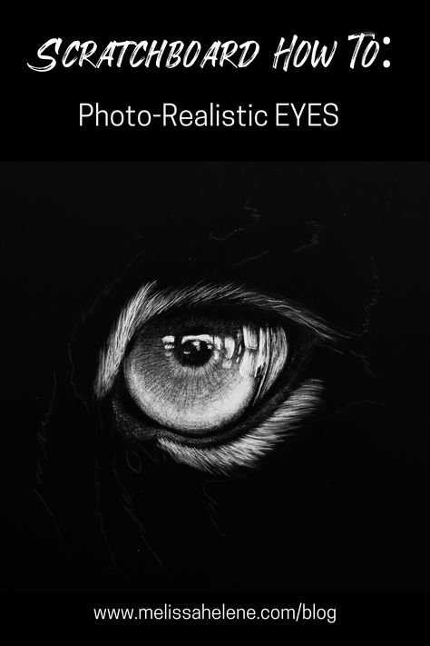 Blog post by Wisconsin scratchboard artist, Melissa Helene, demonstrating and sharing how to create photo-realistic eyes on scratchboard. Wildlife artwork created on scratchboard. Sample videos, photos, and descriptions. Scratchboard how to. | www.melissahelene.com | #scratchboard #scratchboardhowto #learnscratchboard #scratchboardlessons #artlessons #learntodraw #melissahelene #photorealisticdrawing #scratchboardartist #learntodraw #blackandwhiteart #artwork #howtoblog #blogforartists #artblog Scratchboard Art Ideas, Scratchboard Art Lessons, Scratchboard Techniques, Scratchboard Drawing, Scratchboard Artists, Photorealistic Drawings, Scratchboard Illustration, Scratchboard Drawings, Strange Art