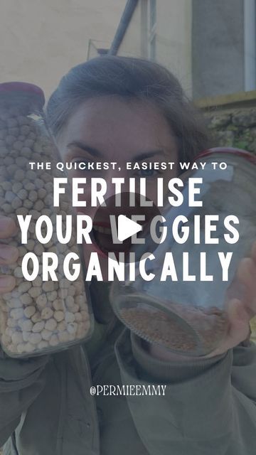 Permie Emmy | Permaculture + Eco Living Tips on Instagram: "HERE⤵️Cheap, Easy, Organic Fertiliser Hack 🫘

If you want big juicy fruits and veg, you need to add nitrogen to the soil. But DON’T buy synthetic fertilisers! Plant nitrogen-fixers. 

The best bit? You probably have most of these seeds sitting in the back of your kitchen store cupboard already!

👇 Full list of nitrogen fixers below!

📣 Drop a comment with “SOIL” to grab my $10 guide on improving soil organically for super successful vegetable gardening 

Want to grow you own food with chemical? Plant these:

Top Nitrogen-Fixing Plants:
* Lentils
* Chickpeas
* Broad beans
* Nettles
* Runner beans
* Garden peas
* Edamame
* French beans
* Kidney beans
* Cannelini beans
* Clover
* Alfalfa
* Lupins

5 Tips for Growing Nitrogen Fixer Nitrogen Fixers, Corn And Squash, Nitrogen Fixing Plants, Bean Garden, Garden Peas, French Beans, Store Cupboard, Broad Beans, Chemical Plant