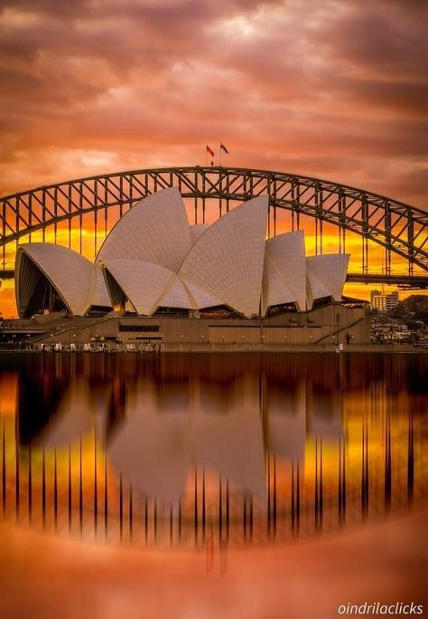 Sky Bridge, Semester Abroad, Sydney Travel, Harbor Bridge, Australia Vacation, Bridge Photography, Harbour Bridge, Sydney Harbour, Famous Landmarks