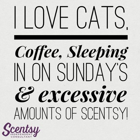 Scentsy 2 Days Left To Order, Scentsy Wednesday Posts, Scentsy Wax Wednesday, Now Booking April Parties Scentsy, Scentsy Memes Humor, Independent Consultant, Scentsy Independent Consultant, Novelty Sign