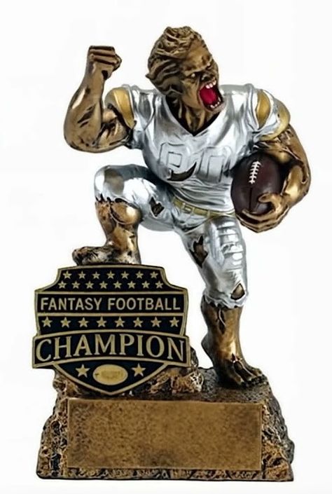 Celebrate your Fantasy Football Victory with Decade Awards!! Fantasy Football, Victorious, Football, Celebrities, American Football