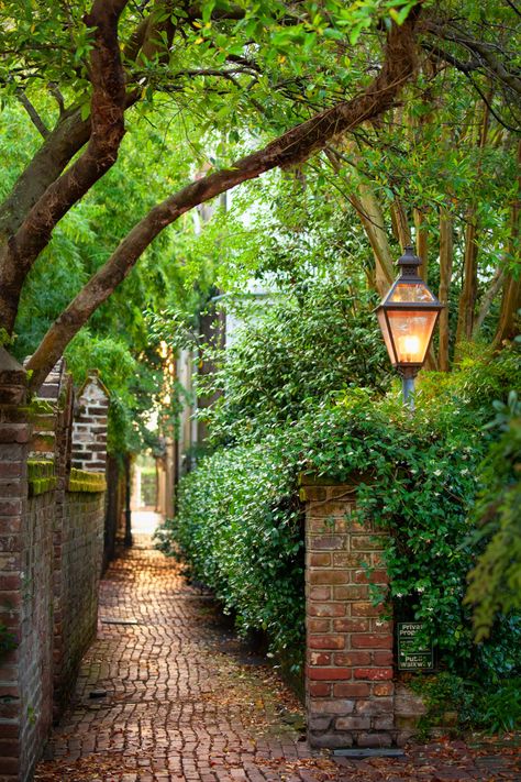 Garden Alley, Neighborhood Park, Quiet Morning, Finding Neverland, Dream Mansion, Photo Background Images, Garden Pathway, Window View, Pretty Places