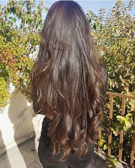 Long Dark Brown Hair, Haircuts For Long Hair, Dark Brown Hair, Brown Hair, Long Hair, Dark Brown, Hair, On Instagram, Instagram