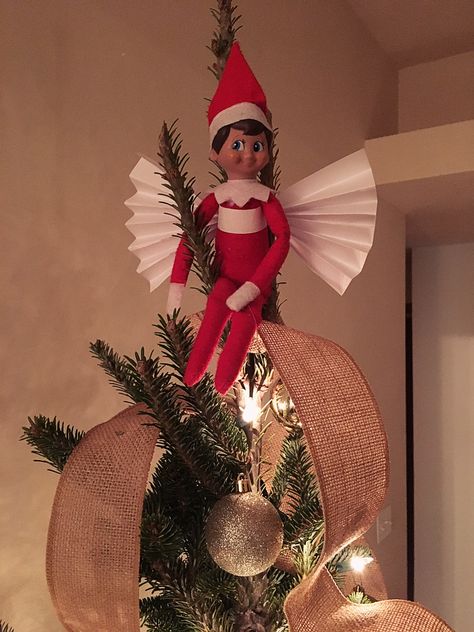 Elf On Tree Ideas, Elf On A Shelf Tree Ideas, Elf On The Shelf On Christmas Tree, Elf In The Tree Ideas, Elf On Christmas Tree, Elf In Tree Ideas, Christmas Tree Elf On The Shelf, Elf On The Shelf Tree House, Elf On The Shelf Ideas Christmas Tree