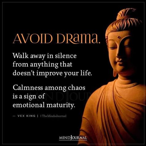 Avoid drama. Walk away in silence from anything that doesn’t improve your life. Calmness among chaos is a sign of emotional maturity. - Vex King #spiritual #emotionalmaturity Signs Of Maturity Quotes, What Is Maturity, Drama Free Quotes, Matured Quotes, Signs Of Maturity, Marriage Devotional, Vex King, Maturity Quotes, Spiritual Seeker