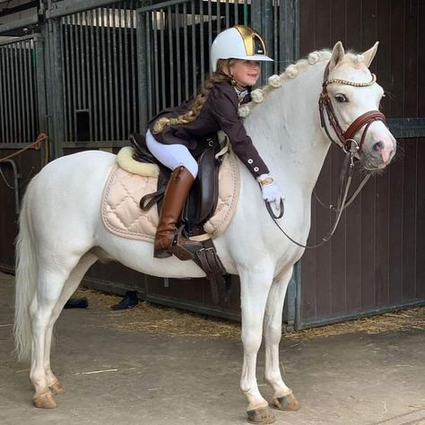 Pony Dressage, Horse Riding Aesthetic, Show Jumping Horses, Pony Rider, Beautiful Horses Photography, Equestrian Aesthetic, Horse Riding Clothes, Shetland Pony, Cute Ponies