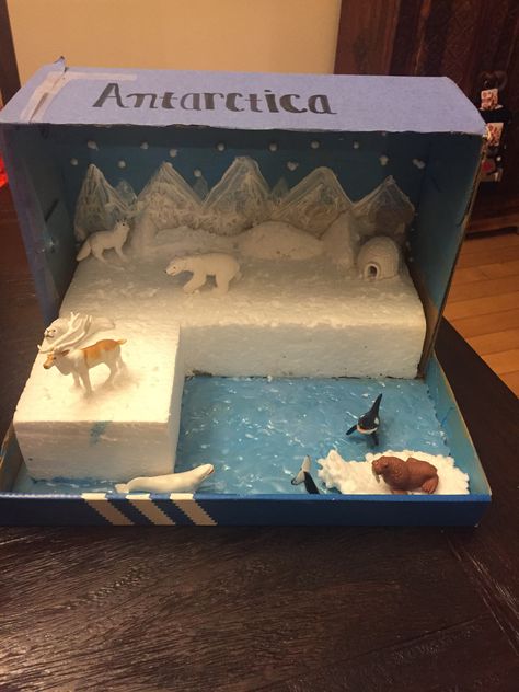 Penguins Project, Diorama Kids, Habitats Projects, Summer Arts And Crafts, Summer Art, Miniature Crafts, School Projects, Habitat, Art School