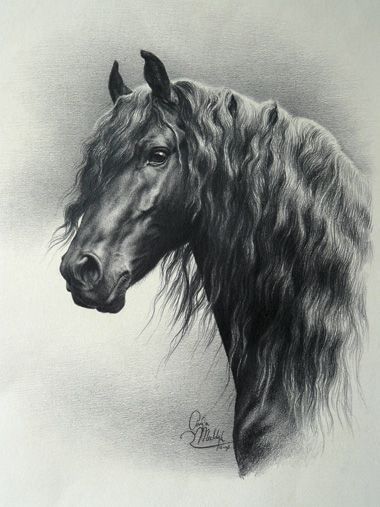 Friesian horse drawing #art Friesian Horse, White Drawing, Horse Drawing, Black And White Drawing, A Horse, Drawing Art, Curly Hair, Black And White, Hair