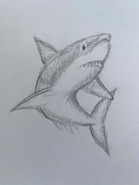 Ocean Animal Drawings Easy, Sea Doodle Art, Things To Draw Animals, Shark Drawing Simple, How To Draw A Shark, Shark Easy Drawing, Simple Shark Drawing, Coastal Drawings, Underwater Doodles