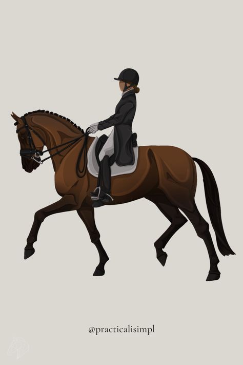 Horse Pfp Aesthetic, Dressage Horse Drawing, Horse Riding Dressage, Horse Aesthetic Pictures, Dressage Wallpaper, Horse Riding Drawing, Horse Riding Illustration, Bay Dressage Horse, Cute Horse Drawing