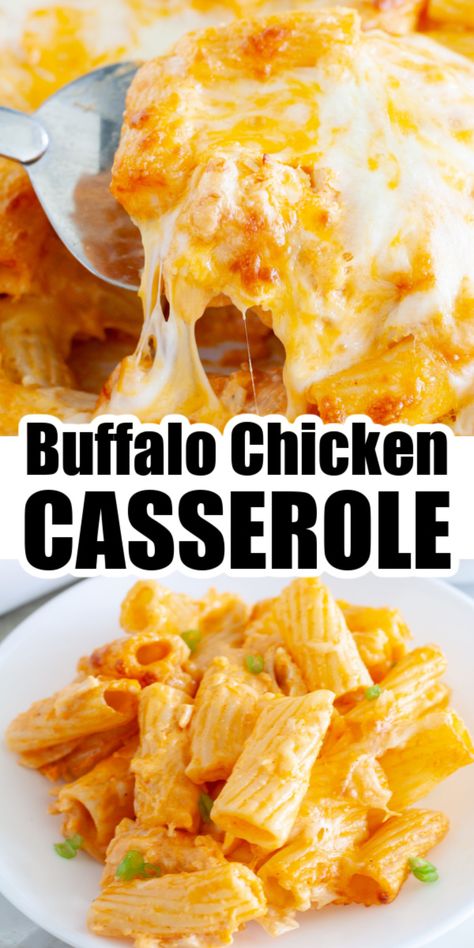 Plate of cheesy pasta. Easy Casserole Dinner, Chicken Pasta Casserole, Easy Chicken Casserole Recipes, Pasta Cheese, Easy Buffalo Chicken, Buffalo Chicken Recipes, Buffalo Chicken Casserole, Chicken Casserole Recipe, Buffalo Chicken Pasta