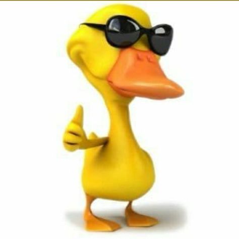 Duck With Sunglasses, Sunglasses Meme, Big Sunglasses, Best Rapper, Silly Pictures, Cool Sunglasses, Vintage Hoodies, Cool Tech, Drink Holder