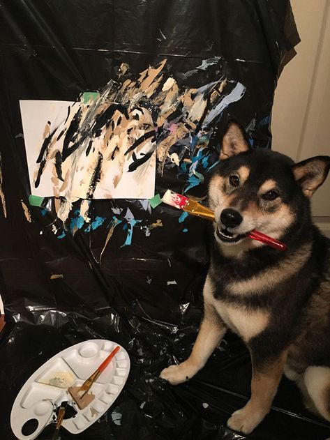 Owners Teach Their Shiba Inu To Paint, Sell Paintings Worth ~$5000 | Bored Panda Painting Meme, Welcome To The Internet, Animal Painter, Doggie Treats, Sell Paintings, Shiba Inu Dog, Selling Paintings, Art Therapy Activities, Lovely Creatures