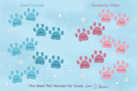 Ideas for Naming Your Pair of Pets Turtle Names Ideas, Duo Names, Baby Pet Names, Good Girl Names, Cool Pet Names, Viking Names, Unique Cat Names, Turtle Names, Cute Cat Names