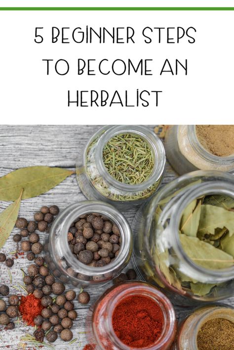 Herbalist Kitchen Decor, Henbit Recipe, How To Start An Apothecary Business, Herbalism For Beginners Natural Remedies, Herbalist Business, Becoming A Herbalist, How To Start An Herbal Apothecary, How To Become A Herbalist, How To Be A Herbalist