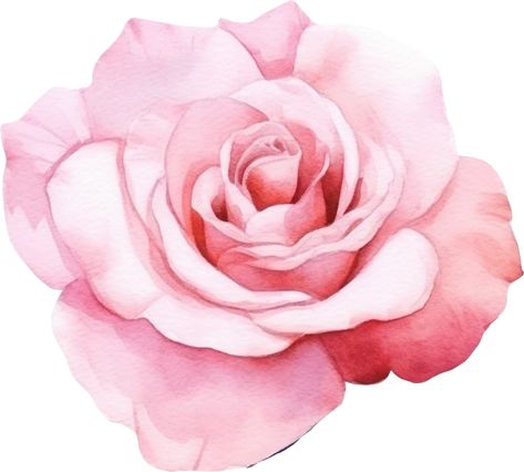 Pink Rose Flower Watercolor. AI Generated Pink Rose Illustration, Roses Png, Rose Png, Rosé Png, Flower Drawings, Festival Theme, Rose Illustration, Backgrounds Phone, Pink Rose Flower