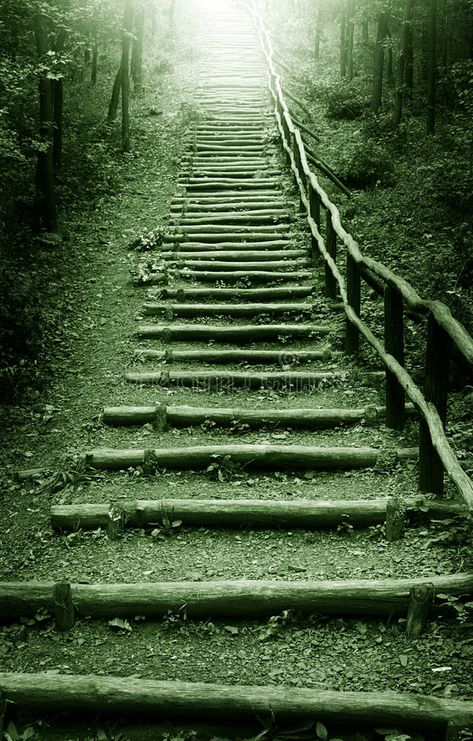 Path to the heaven. Stairway to heaven in mystic forest , #sponsored, #heaven, #Path, #Stairway, #forest, #mystic #ad Path To Heaven, Heaven Wallpaper, Mystic Forest, Way To Heaven, Leaf Images, Stair Steps, Stairway To Heaven, Religious Icons, Dark Skies