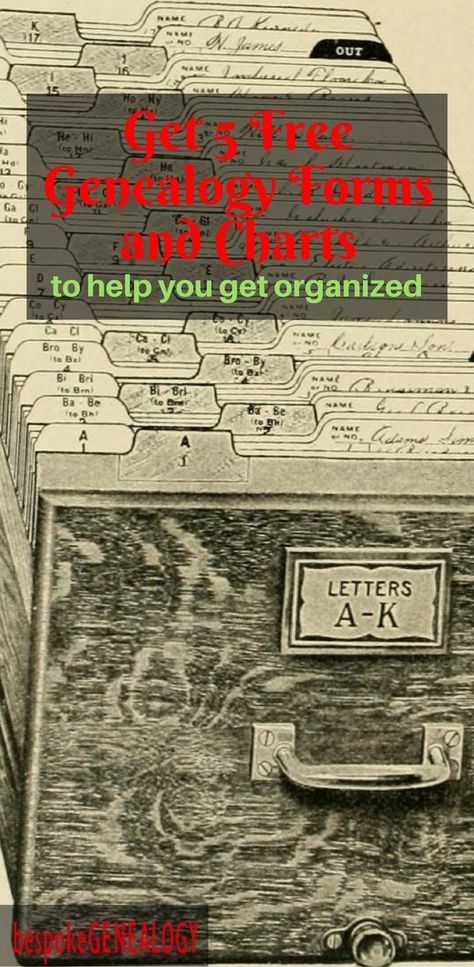 Ancestry Printables, Genealogy Binder, Family Tree Forms, Genealogy Templates, Ancestry Chart, Free Genealogy Sites, Genealogy Ideas, Family History Projects, Genealogy Organization