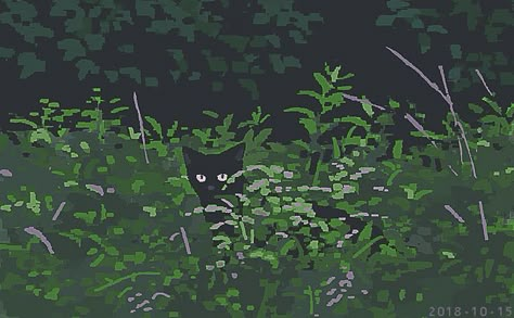 The Grass, Desktop Wallpaper, Forest, On Twitter, Plants, Twitter, Green, Black