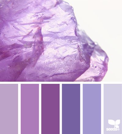 amethyst tones Seeds Color, Color Mood, Color Board, Colors Palette, Color Palate, Design Seeds, Color Palette Design, Colour Combinations, Colour Palettes