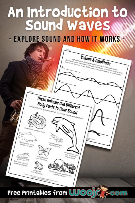 An Introduction to Sound Waves for Kids | Woo! Jr. Kids Activities Light And Sound Stem Activities, Sound Wave Experiment, Teaching Sound Waves, Science Sound Activities, Teaching Sound Science, Sound Experiments 4th Grade, Sound Activities, Sound Stem Activities For Kids, Energy Waves