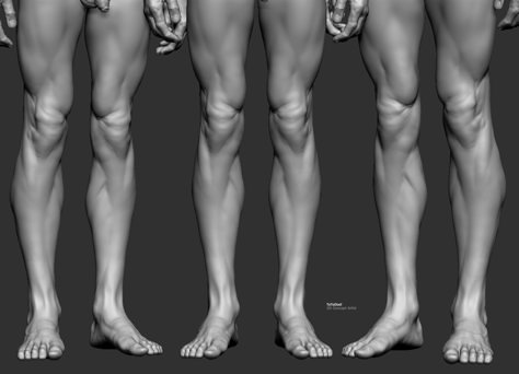 Leg Study, ToTo Dost on ArtStation at https://www.artstation.com/artwork/LAm4R Zbrush Anatomy, 남성 근육, Leg Anatomy, Human Anatomy For Artists, Human Muscle Anatomy, 3d Anatomy, Man Anatomy, Anatomy Sculpture, Anatomy Studies