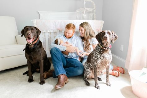 Dogs And Newborns Photography, At Home Newborn Pictures With Dog, Newborn Family Photos Dog, Newborn Pics With Dogs, Newborn Shoot With Dog, Newborn Lifestyle Photography At Home With Dog, Lifestyle Newborn Photography With Dog, Newborn Pictures With Dogs, Newborn Baby Photography With Dog