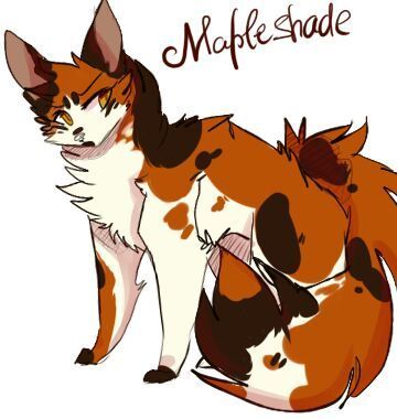 Cats Character Design, Warrior Cat Ideas, Warrior Cats Designs, Warrior Cats Comics, Good Drawings, Maple Shade, Great Warriors, Warrior Cats Fan Art, Cat References