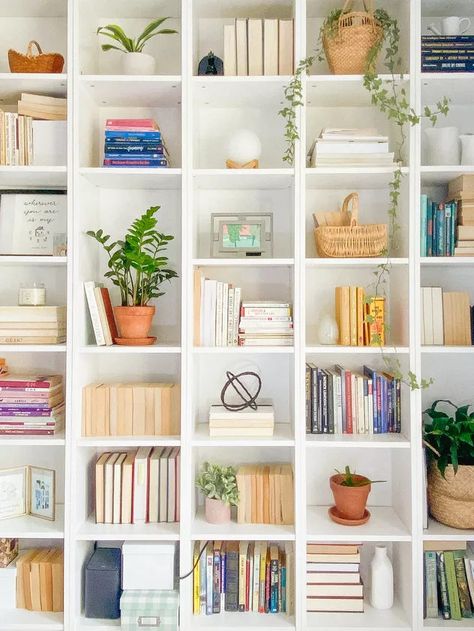 Eunice Choi built this mesmerizing wall by placing five narrow Billy bookcases side by side. The visual is so stunning! #IKEA #BillyBookcase #IKEAHacks Billy Bookcase Plants, Plants Bookshelf, Styling A Bookshelf, Style A Bookshelf, Billy Ikea, Billy Bookcase Hack, Colorful Plant, Ikea Billy Bookcase Hack, Ikea Bookcase