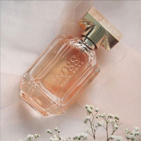 Boss Hugo Boss Perfume, Hugo Boss Perfume Aesthetic, Hugo Boss The Scent For Her, Hugo Boss Aesthetic, Boss The Scent For Her, Boss Perfume, Hugo Boss Perfume, Aesthetic Perfume, Daisy Perfume