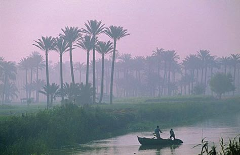 River Nile near Memphis, Egypt, North Africa Pantone Postcards, Memphis Egypt, River Nile, Nile River, Painting Subjects, The Nile, Egyptian Art, North Africa, Tourist Destinations