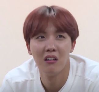 Mds muita beleza pra uma pessoa só!! Jhope And Jungkook, Disgusted Face, No Thanks, Kpop Exo, Memes Kpop, J Hope, Fall Asleep, Jeon Jungkook, Fall In Love