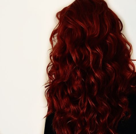 Scarlet Hair Aesthetic, Curly Red Hair Aesthetic Faceless, Red Hair Aesthetic Faceless, Dark Red Long Hair, Red Curly Hair Aesthetic, Dark Red Hair Aesthetic, Scarlet Red Hair, Red Hair Red Eyes, Scarlet Hair