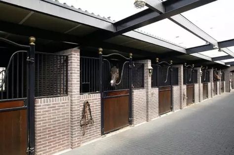 Bay Clydesdale, Dream Barn Stables, Cleveland Bay, Equestrian Stables, Stall Fronts, Horse Barn Ideas Stables, Barn Stalls, Horse Barn Designs, Dream Stables