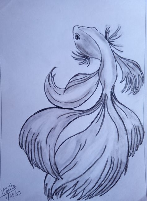 Fighter Fish Drawing, Fighter Fish, Easy Love Drawings, Koi Fish Tattoo, Fish Tattoo, Love And Peace, Fish Drawings, Magic Art, Love Drawings