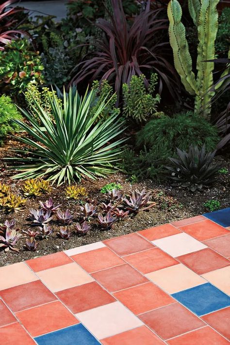 Red and blue tiles next to plants. Tile Walkway, Desert Shade, Paint Concrete Patio, Cement Patio, Painted Concrete Floors, Concrete Light, Painted Patio, Outdoor Living Rooms, Patio Tiles