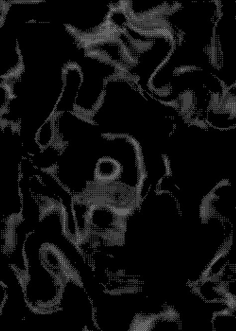 Popular GIF Gif Banners, Lighting Overlays, Glitch Gif, Black And White Gif, Loop Gif, Trippy Gif, Gif Background, Best Gif, Trippy Visuals