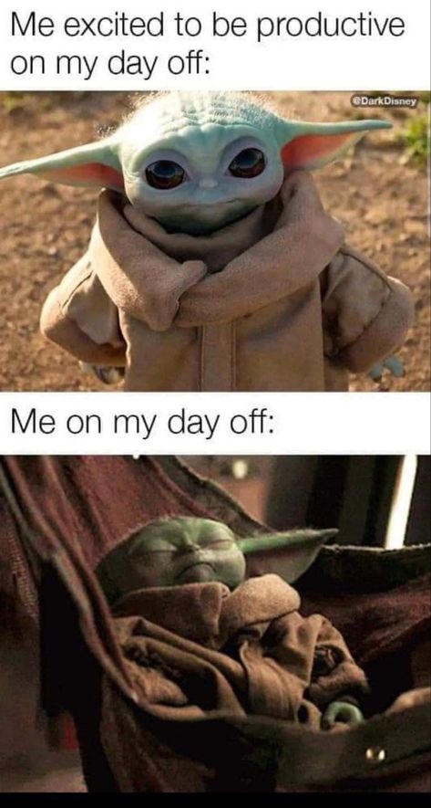 Day Off Meme, Yoda Quotes Funny, Yoda Pictures, Yoda Quotes, Yoda Meme, Funny Star Wars Memes, Yoda Wallpaper, Cute Animal Quotes, Yoda Funny