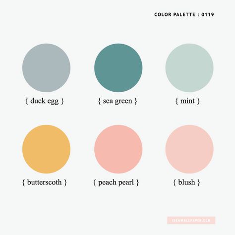 Color Pantone, Brand Color Palette, Green Mint, Color Palette Design, Wallpapers Iphone, Color Inspo, Colour Board, Mint Color, Duck Egg