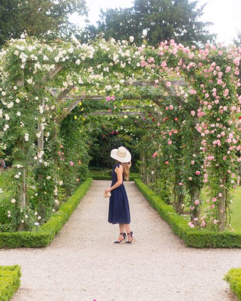 Rose Garden Landscape, Paris Garden, Rose Garden Design, Rose Arbor, Tropical Garden Design, Luxury Garden, Pink Garden, Traditional Garden, Climbing Roses