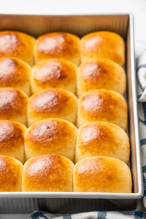 Sourdough Dinner Rolls Recipe Sourdough Dinner, Sourdough Dinner Rolls, Resepi Roti, Sourdough Rolls, Fluffy Dinner Rolls, Hawaiian Sweet Rolls, Potato Roll, Food Charlatan, Homemade Dinner Rolls