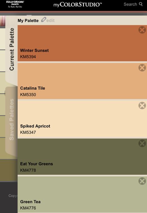 Earth Tone House Exterior, Earth Tone Exterior House Colors, Terra Cotta Paint Color, Earth Tones Palette, Living Room Wall Color, Color Combinations Paint, Exterior House Paint Color Combinations, House Color Palettes, Pintura Exterior