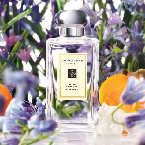 Jo Malone Bluebell, Jo Malone London Perfume, Jo Malone Wild Bluebell, Jo Malone Cologne, Jo Malone Perfume, Perfume Chanel, Wild Bluebell, Perfume Photography, 카드 디자인