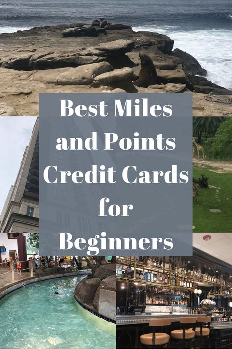 Travel Rewards Credit Cards, Travel Points, Credit Card Points, Credit Card Hacks, Best Travel Credit Cards, Best Airlines, Disney Vacation Planning, Travel Credit Cards, Party Pants